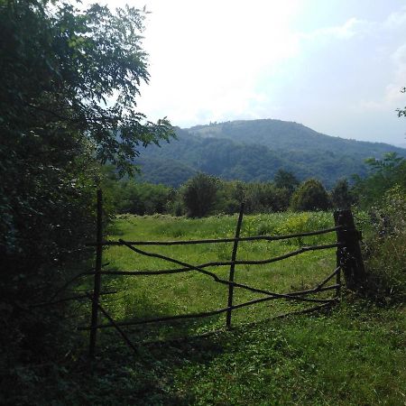 Guesthouse Smiljanic Slavkovica Екстериор снимка