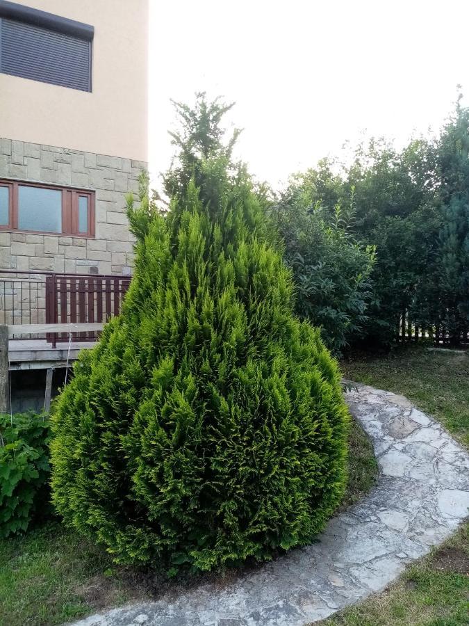 Guesthouse Smiljanic Slavkovica Екстериор снимка