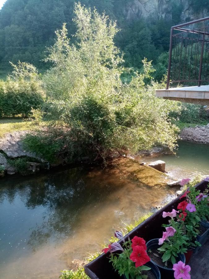 Guesthouse Smiljanic Slavkovica Екстериор снимка