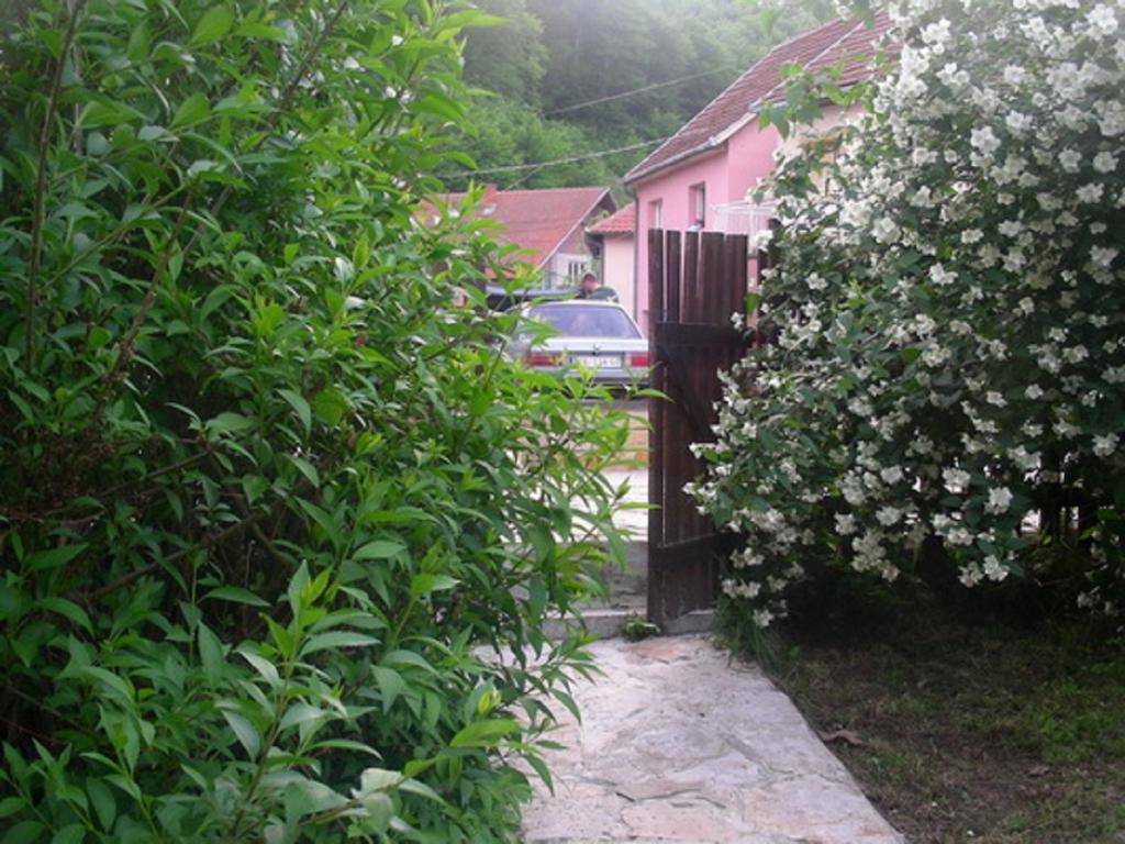 Guesthouse Smiljanic Slavkovica Екстериор снимка